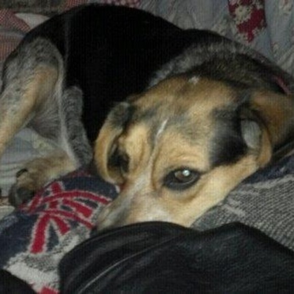 Meet your Posher, Kelly - Picture 1 of 1